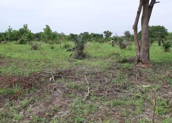 Wahala : Secours Rural vient d&rsquo;acquérir un terrain